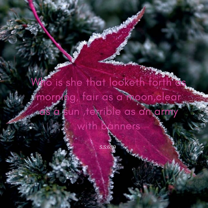 quotes
