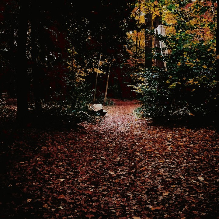 Cold autumn days