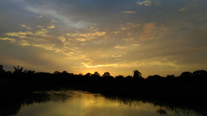 nature