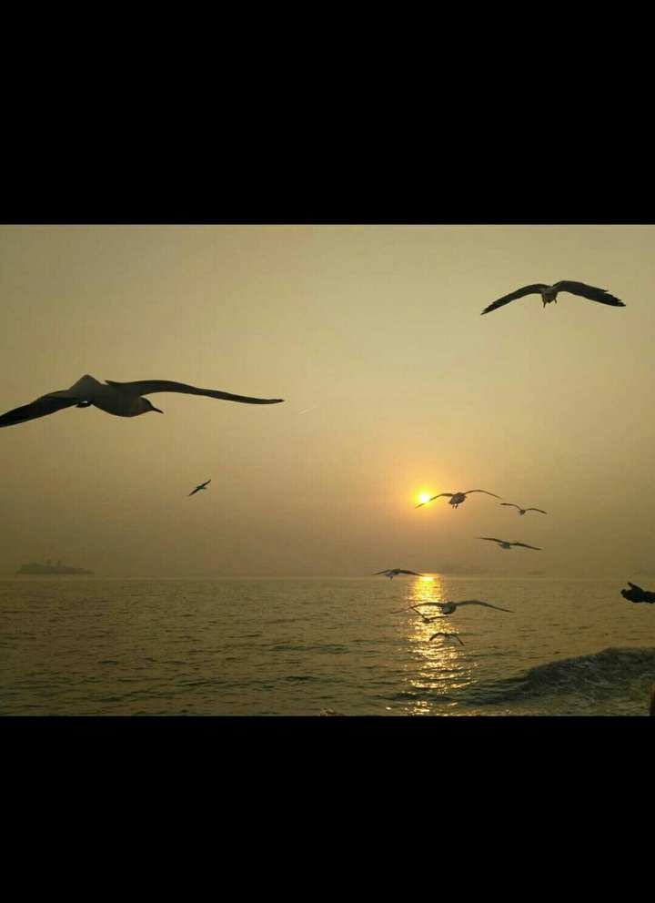 Sunset goals ❤