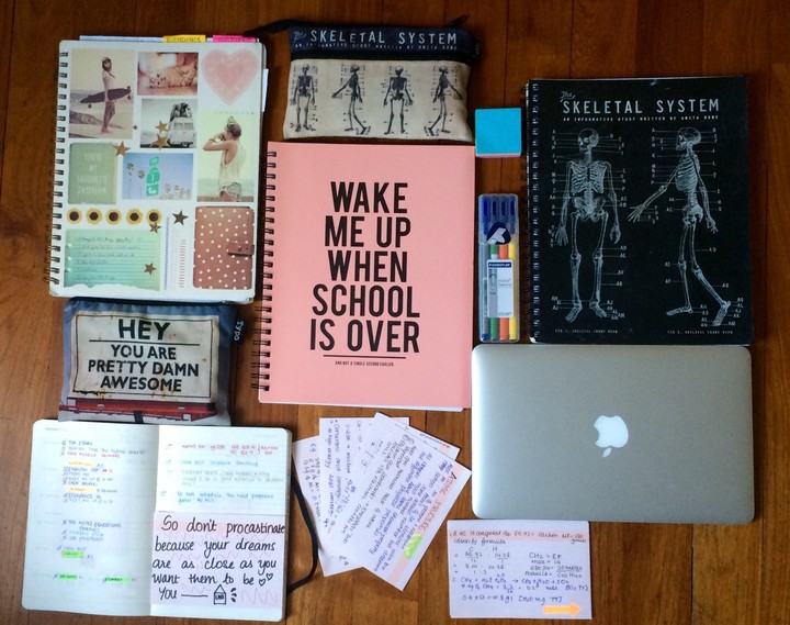 Wake me up when school is over!