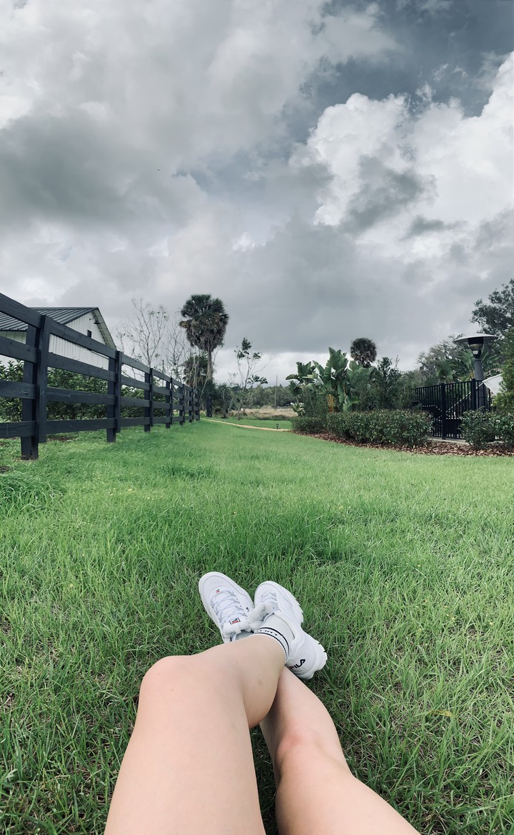 leg view