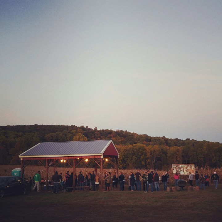 corn maze