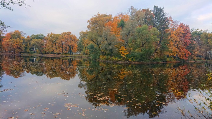 золотая осень