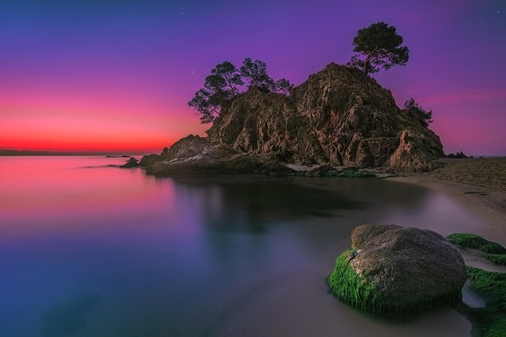 Nature's Beauty
