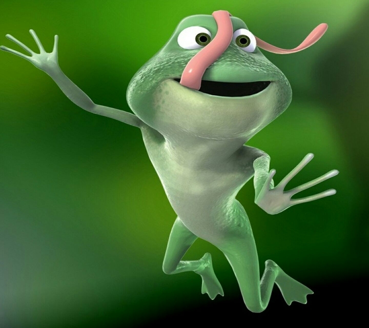 Funny frog