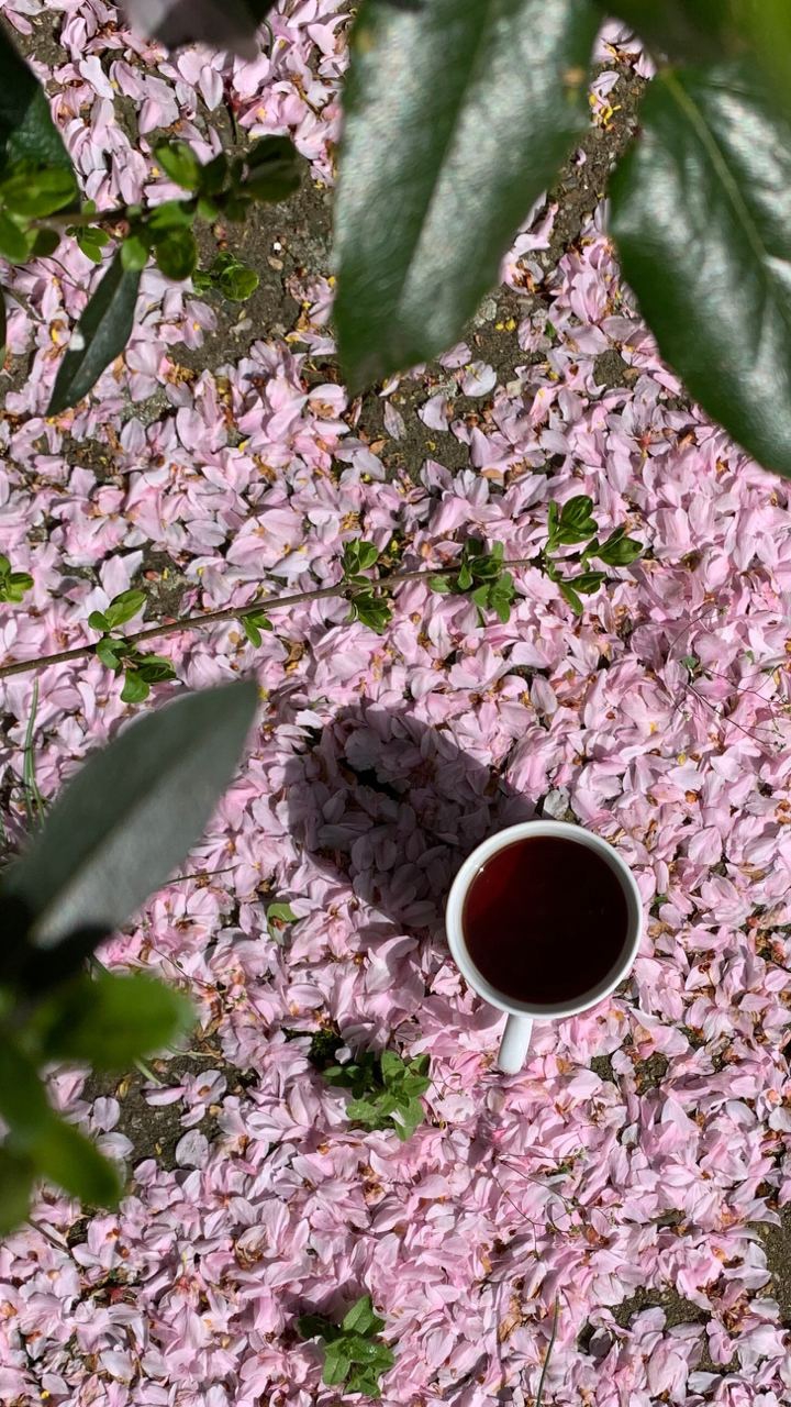 tea