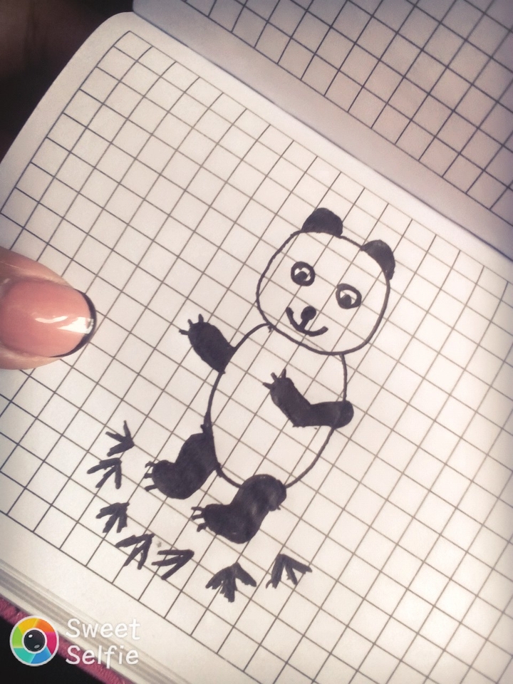 панда