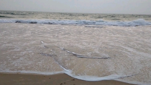 beech love feeling alone