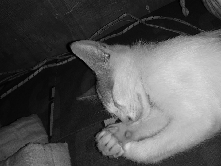 Sleeping sleepy