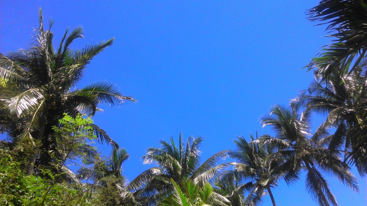 Blue sky.