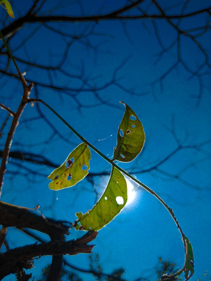 hope