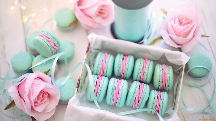 Macaron (๑◔‿◔๑)