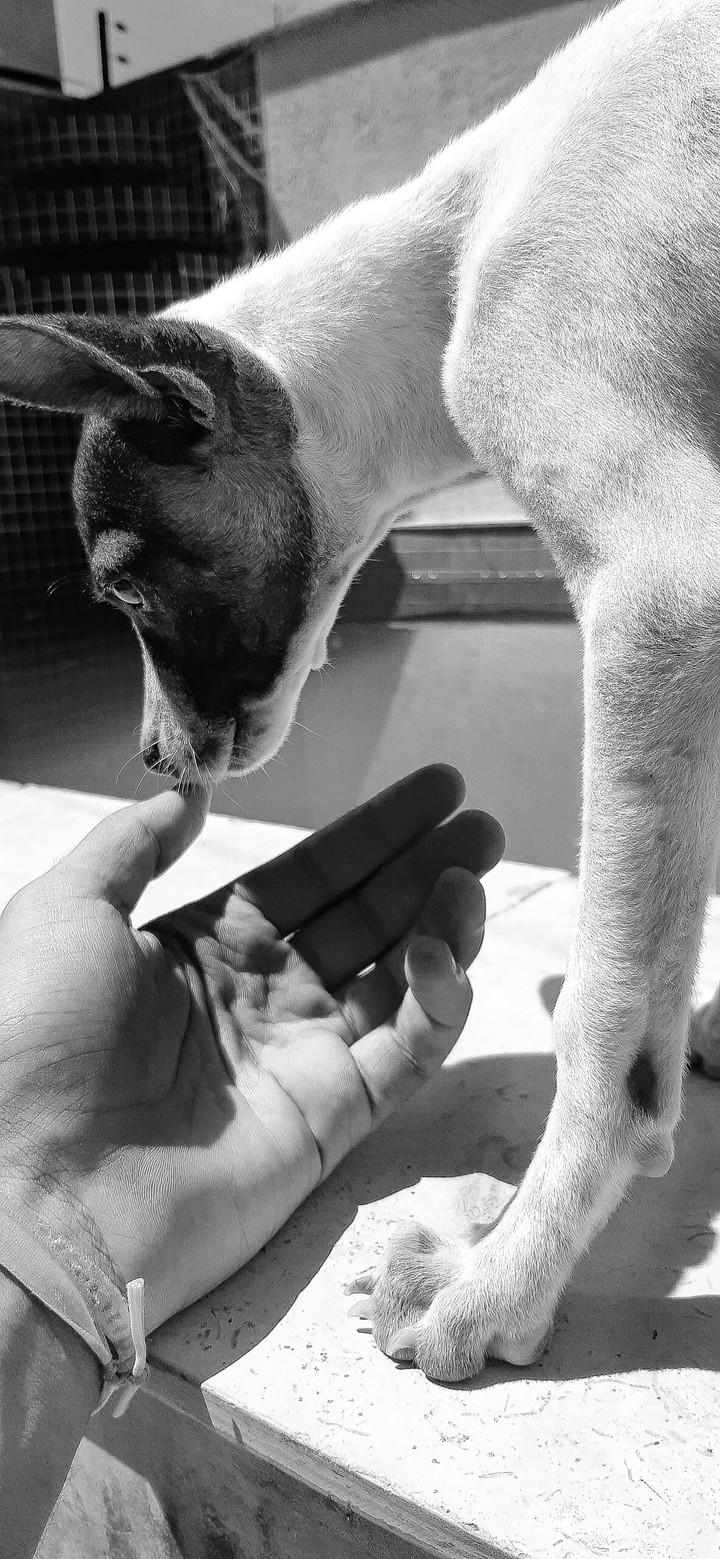 Athena
