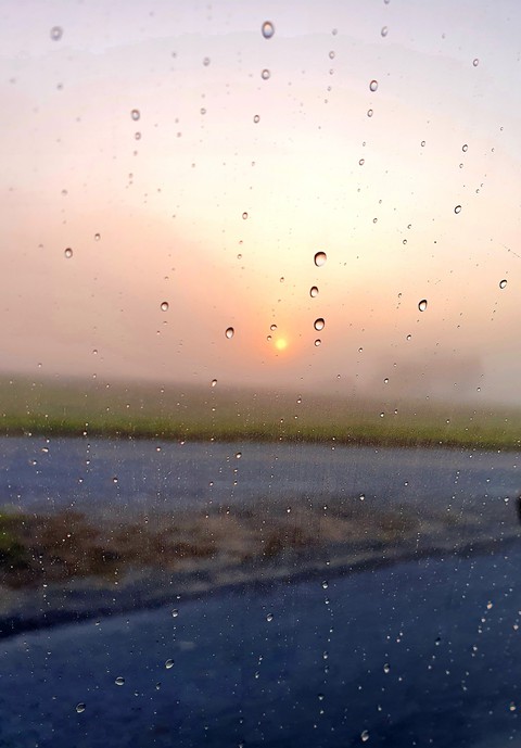Autumn morning
