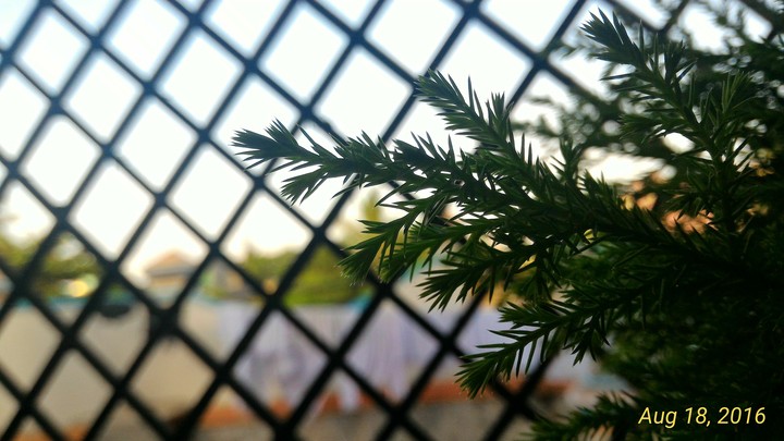 window view