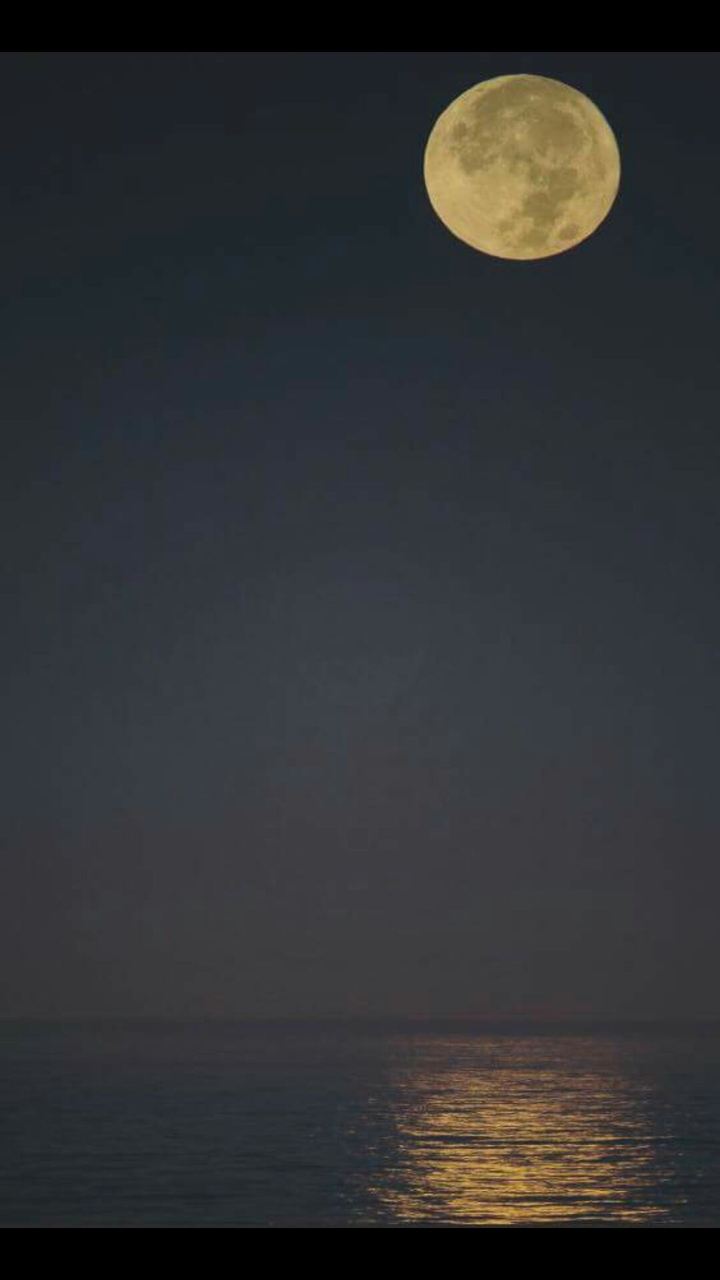 Moondark