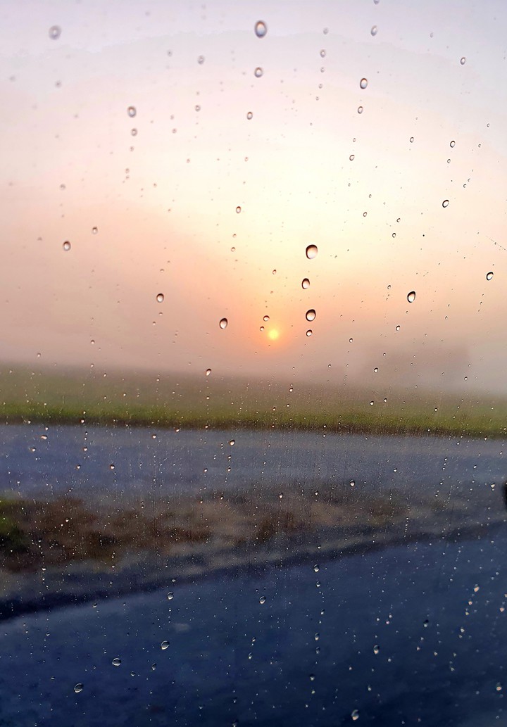 Autumn morning