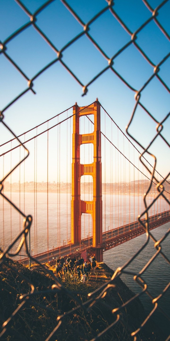 bridge in cage