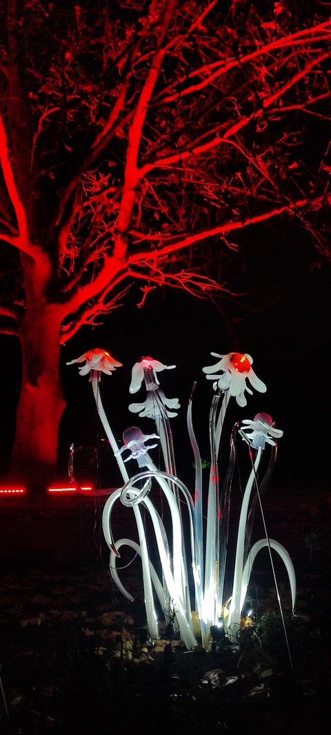 sfondi flower, Glass