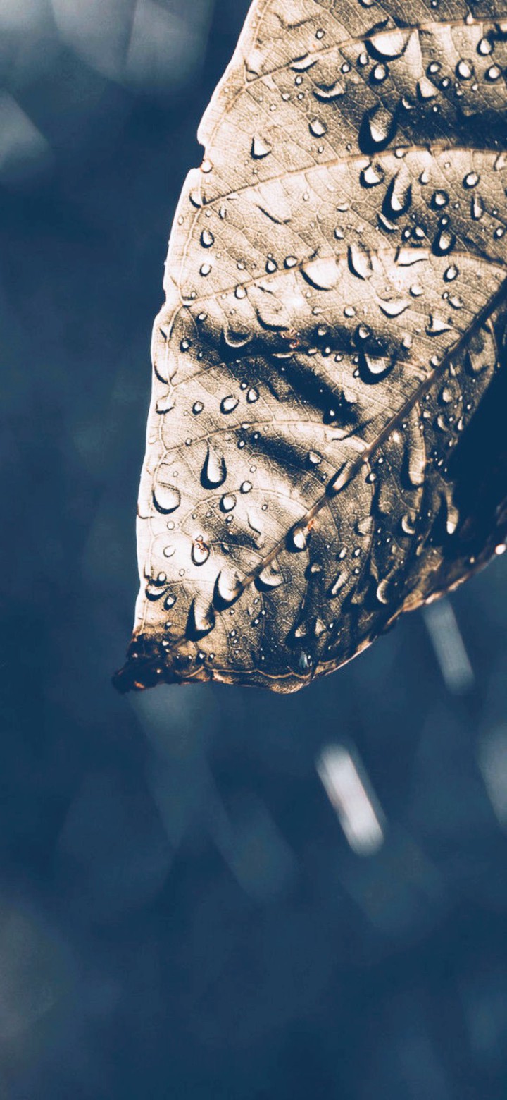 Droplets
