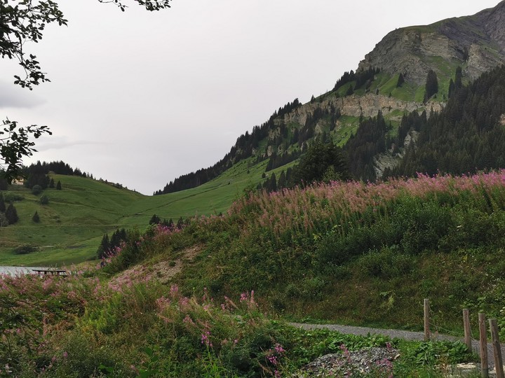 Le long du chemin
