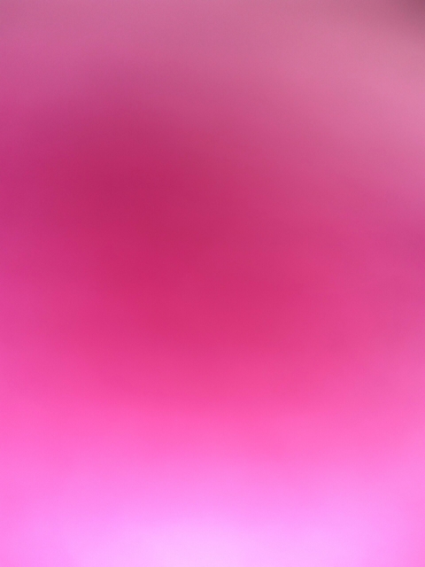 Mangenta Colour