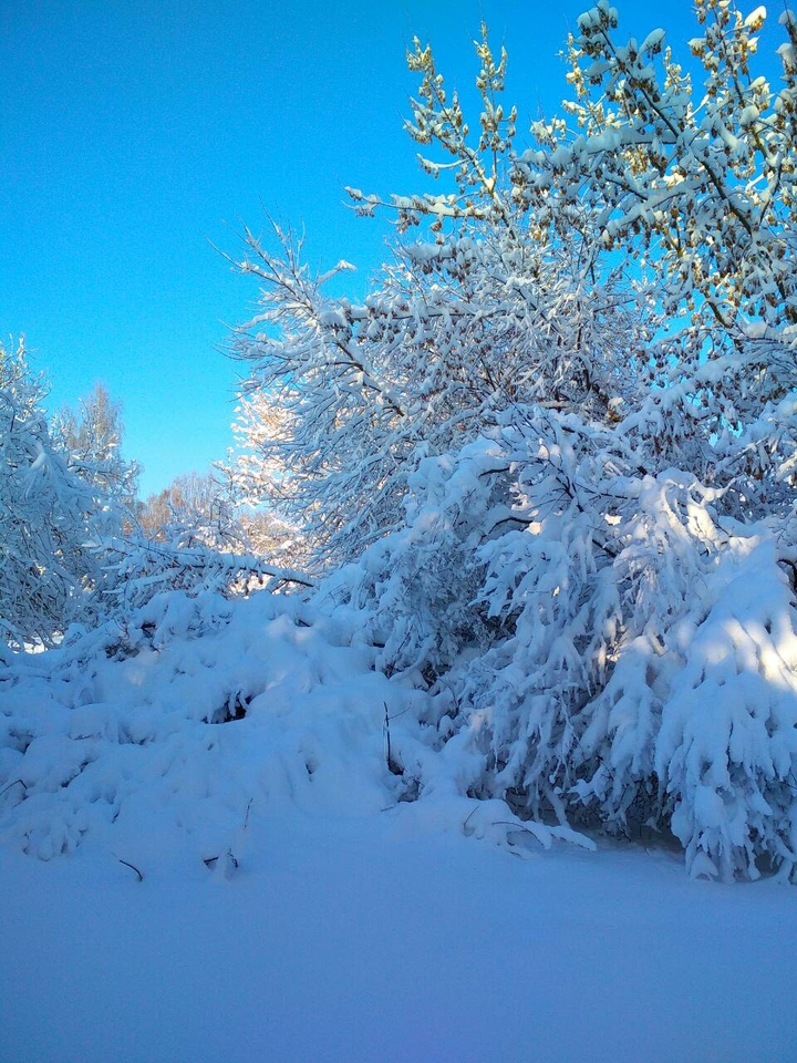 февральский снег