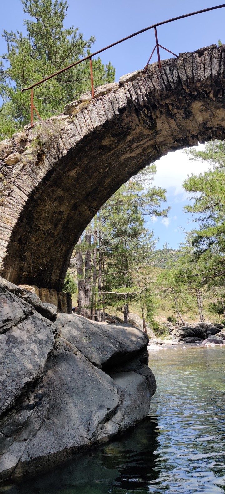 Genoese bridge