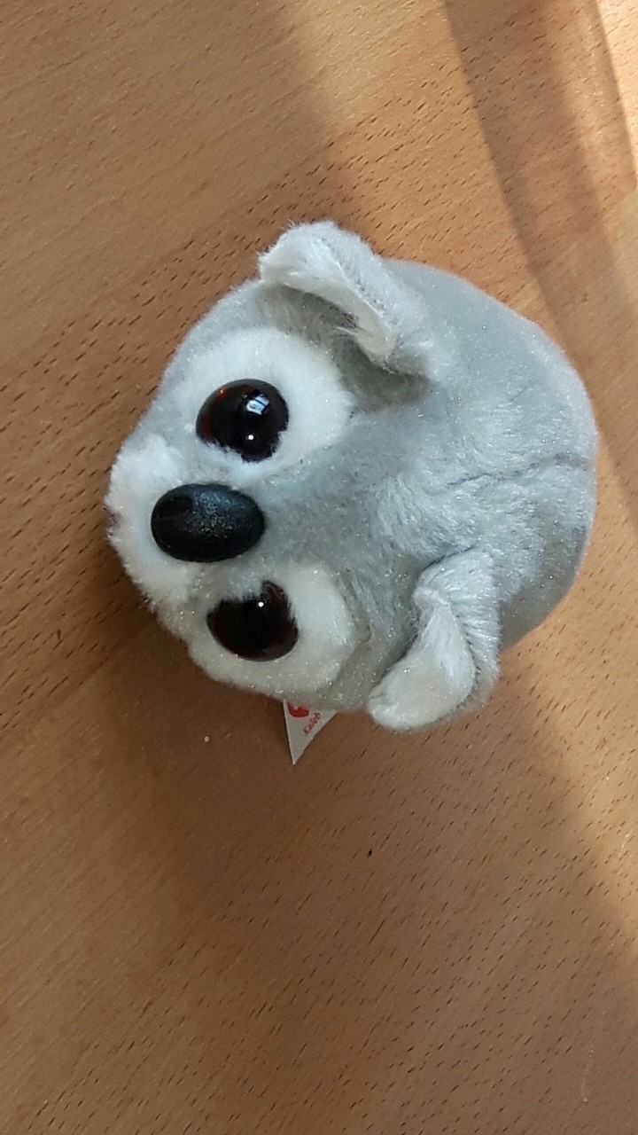 Glubschi