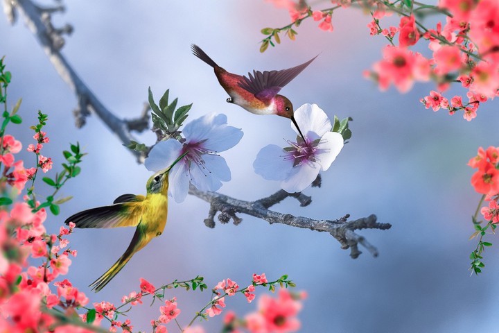عکس پس زمینه