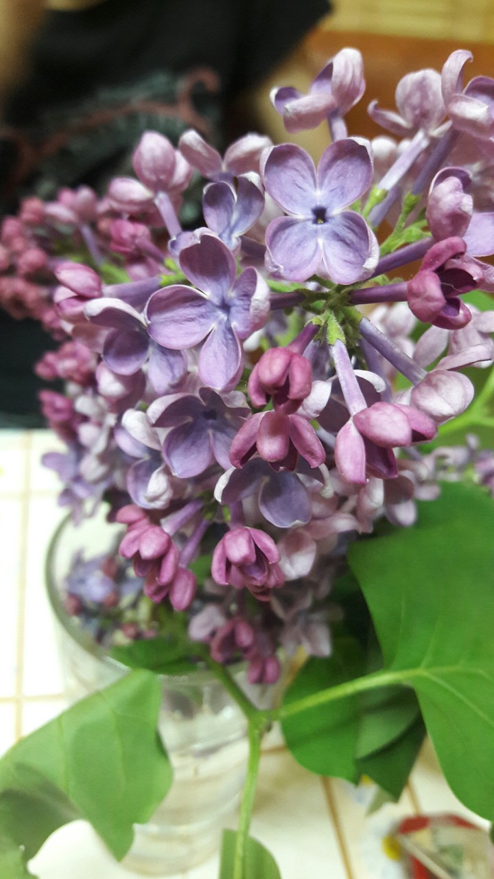 #flowers