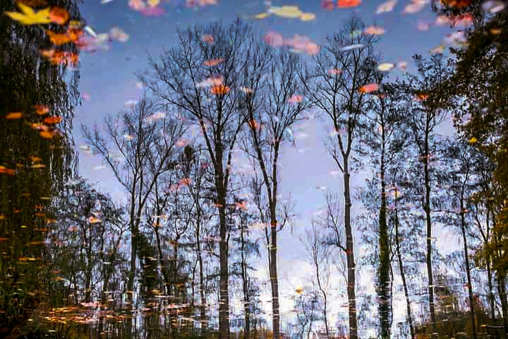 Autumn reflection