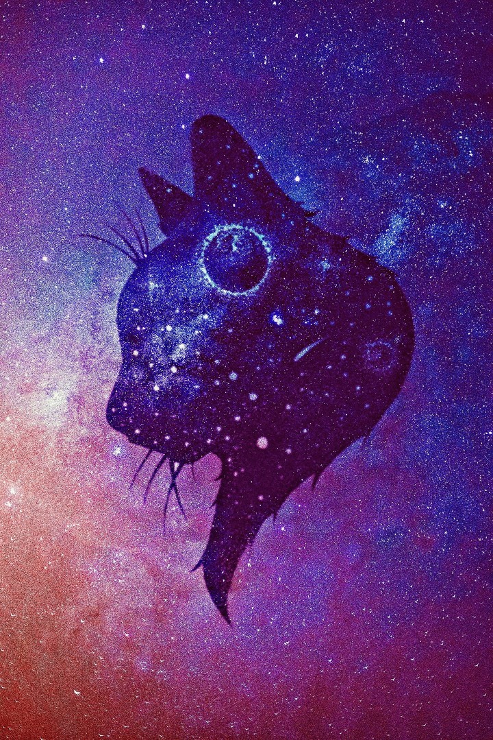 Gato 