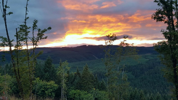Setting Sun Green Mountain