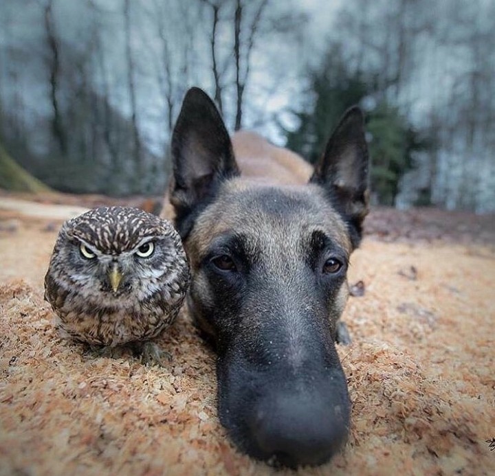 ..