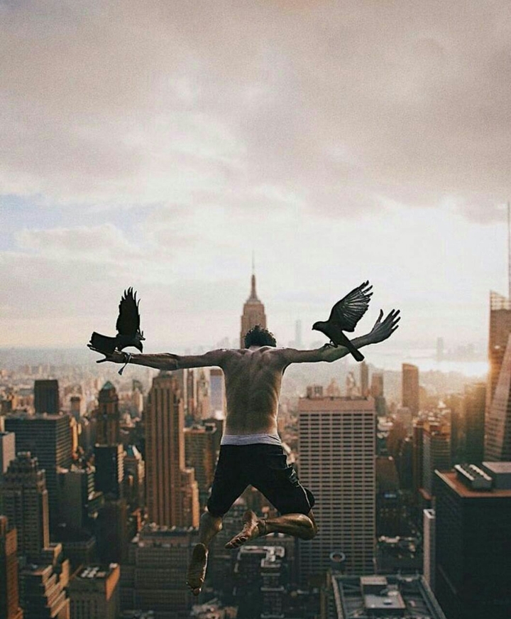 Fly