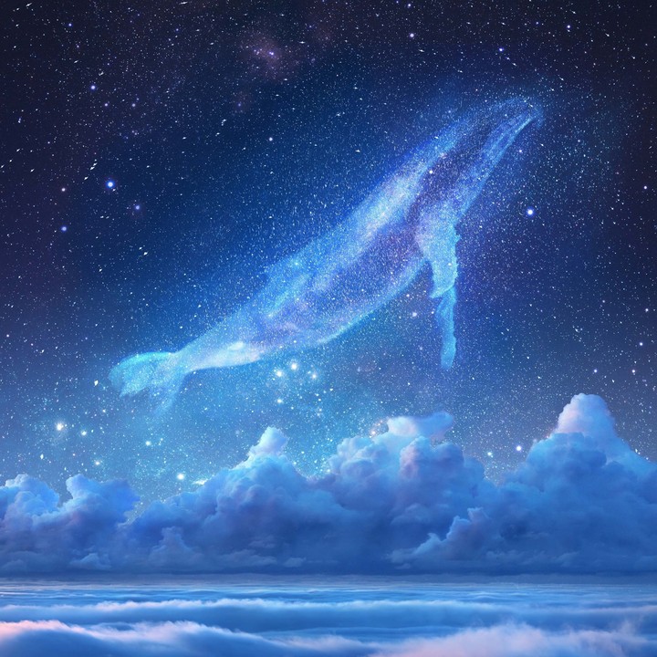 Whale af the stars