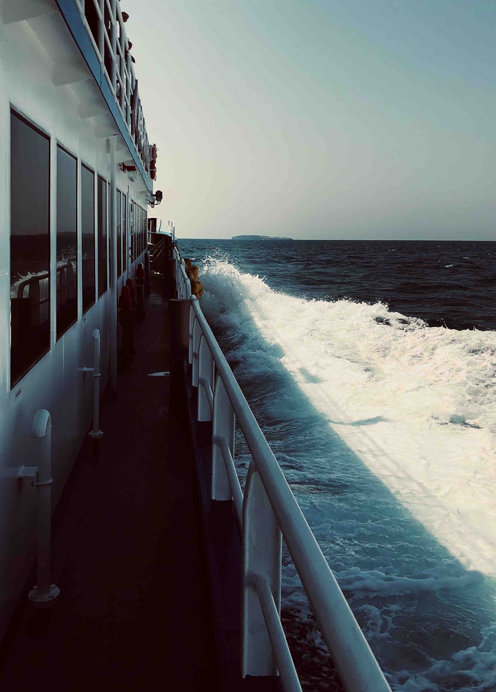 cruise to MARADO
