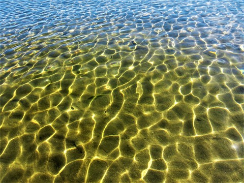 sfondi landscapes, algae