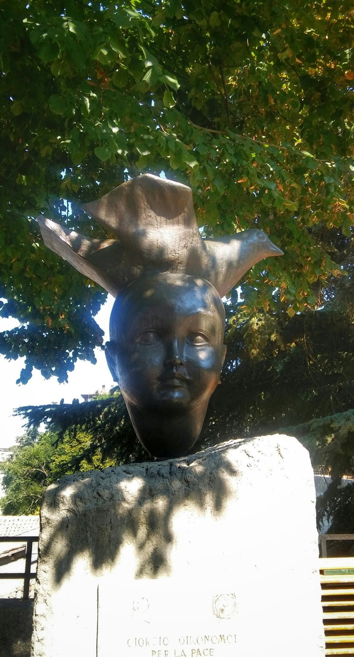 Pigeon on head