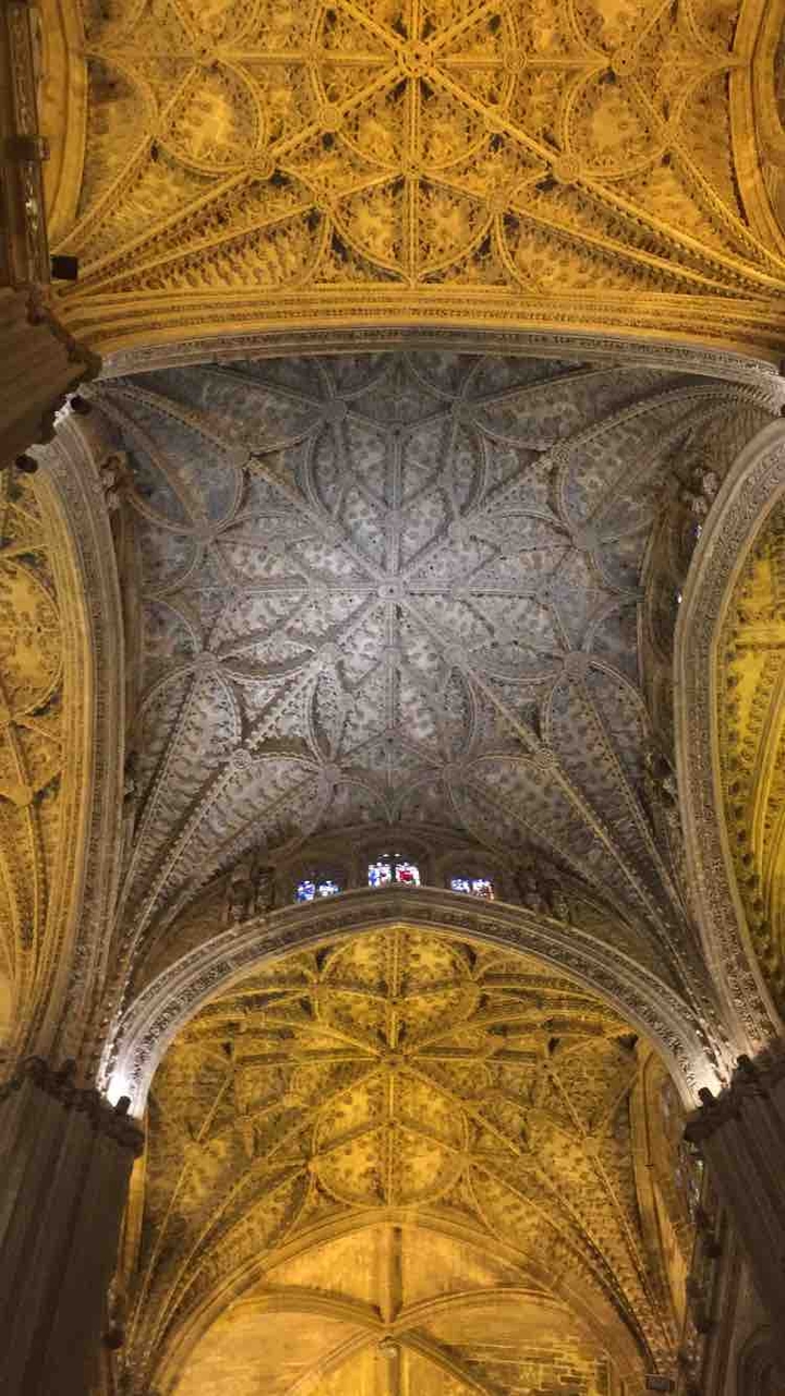 Cathedral ceiling