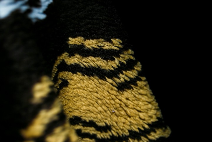 cloth