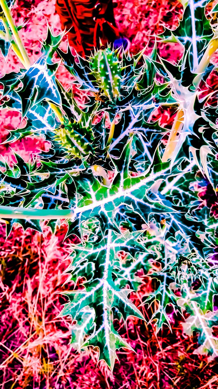 colors