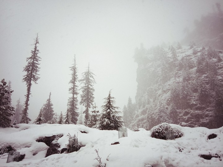 manali