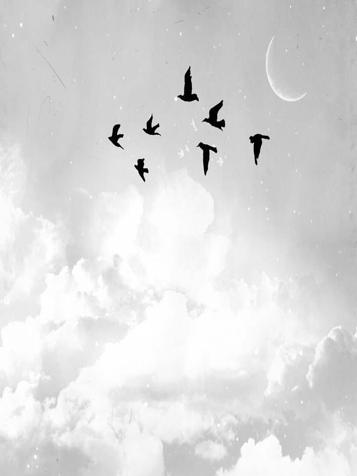 Flying birds