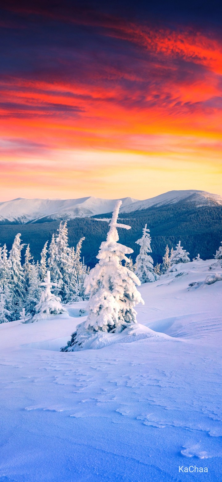 winter