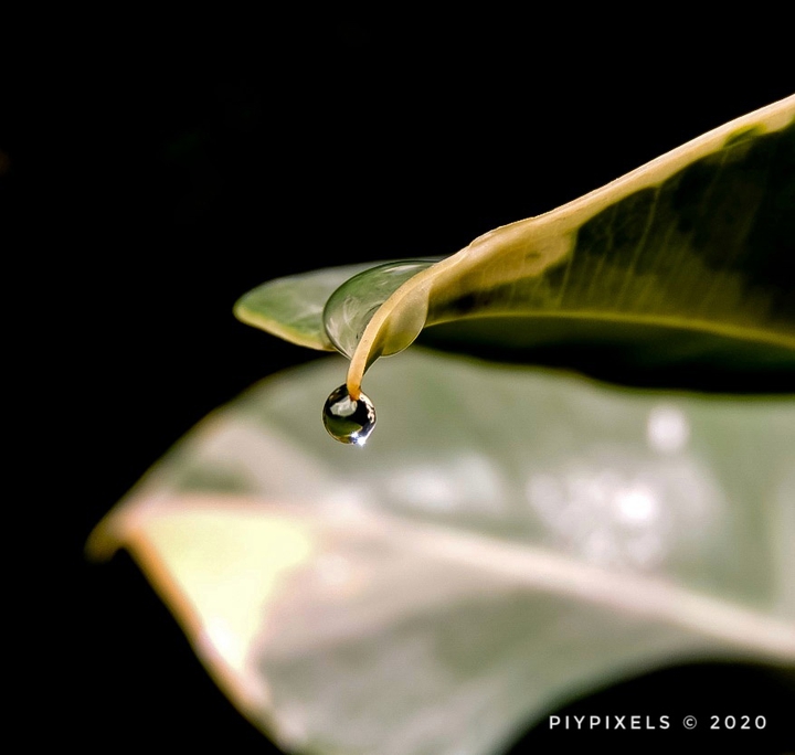 Droplets