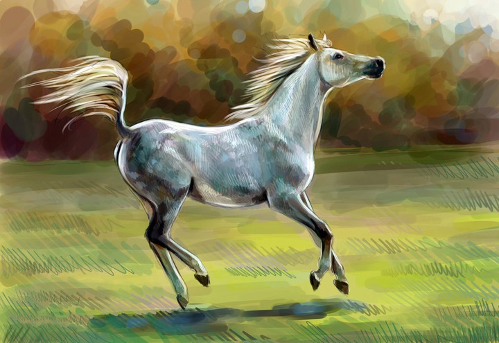 running horse