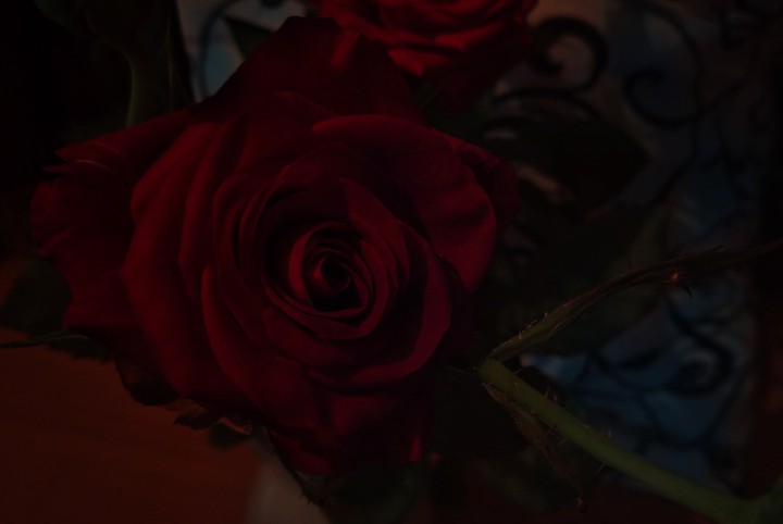 rose???